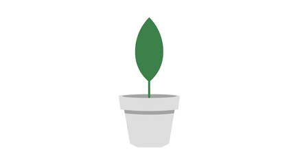 Potted plant image single green leaf in gray pot