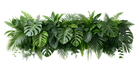 Tropical plant wall decor green foliage background monstera leaves fern leaves jungle plants greenery wall on transparent background