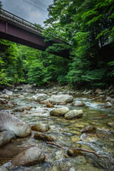 深い森の渓流と赤い橋の風景、夏の涼しさと人工構造物
