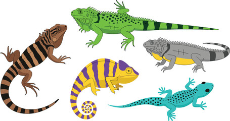 Lizard species icon set, colorful reptile and chameleon pattern collection, wildlife graphics, cad drawing flat vector illustration