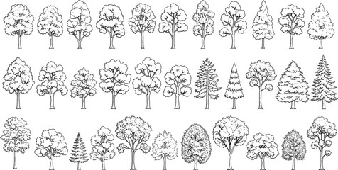 Fototapeta premium Extensive collection of hand-drawn deciduous and coniferous trees in outline Keywords: tree, trees, nature, forest, woodland