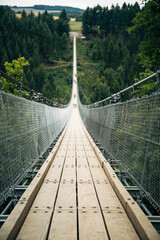 Fototapeta premium Suspension Bridge Spanning a Valley Canyon on Sunny Day, Adventure and Nature Tourism