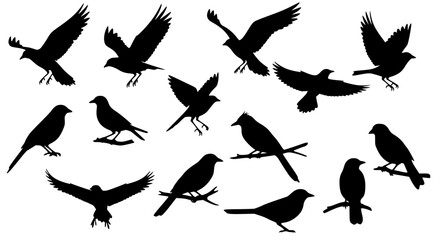 A diverse collection of black bird silhouettes, showcasing various avian species in different poses including flying, soaring, and perched, ideal for wildlife, nature, and graphic design projects