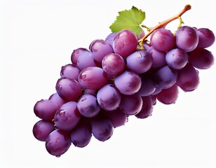 Fototapeta premium cluster of purple grapes falling isolated on transparent white background