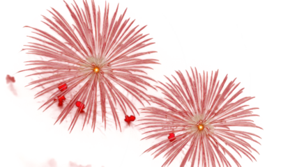 Golden firework texture, thin  stroke lines. Isolated png illustration, transparent background. Design  for overlay, montage, texture. Happy new year concept.