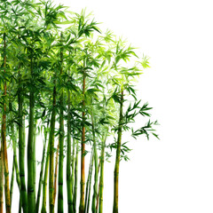 Fototapeta premium Bamboo Forest in Sunlight: Towering bamboo stalks create a vibrant spectacle against the backdrop of radiant light, evoking a sense of tranquility.