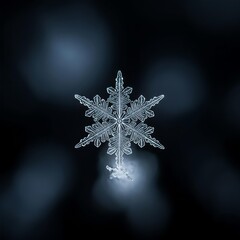christmas snowflake on black background