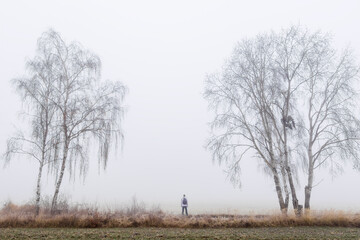 Man in white hoodie and pants with backpack is standing between birch tree in winter frosty fog Czech landscape. Active, healthy lifestyle background