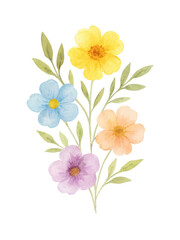 Watercolor Floral Illustration with Colorful Petaled Blooms