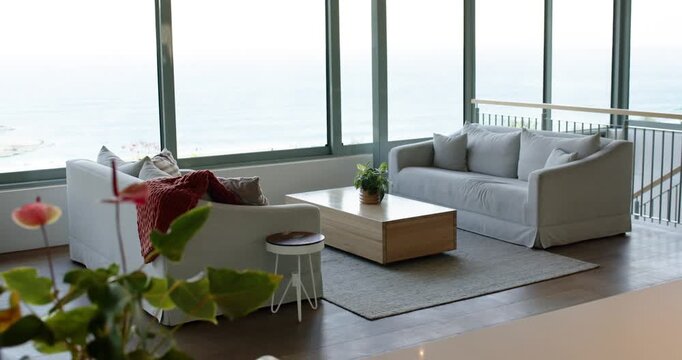 Camera refocusing on potted plant then holding on sofas and coffee table highlighting water view