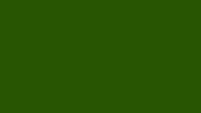  Fast twinkling stars animated background. Twinkling stars animation on green screen.Twinkling stars and glowing sparkles, cartoon vector doodle animation. White light on green screen with sparkle eff