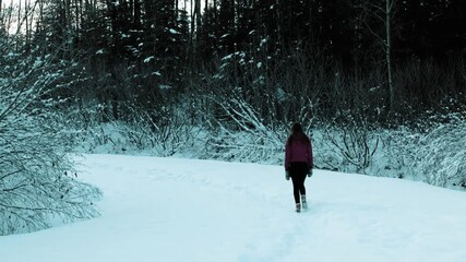 People walking along a snowy winter forest path - Powered by Adobe