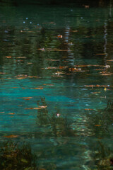 Blue and green lake water reflections with floating light patterns Vertical