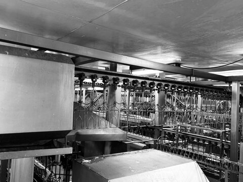 an automated meat processing plant interior, featuring a densely packed, overhead stainless steel conveyor system with numerous empty shackles and chains designed for high-volume poultry production.