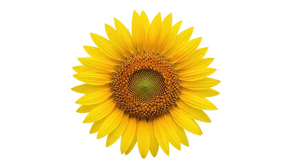 Bright yellow sunflower PNG isolated on transparent background, vibrant floral design element for summer and nature themes