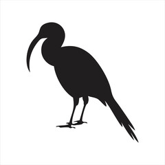 Silhouette of an Ibis bird with its distinctive long, curved beak and slender legs standing against a white background