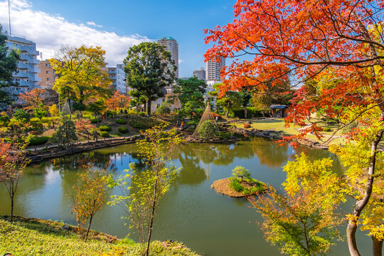 東京都文京区 紅葉の肥後細川庭園