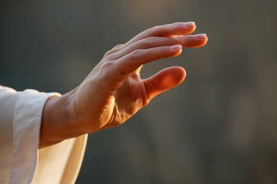 Tai Chi. Manos humanas interactuando suavemente en un entorno exterior con luz natural c&aacute;lida