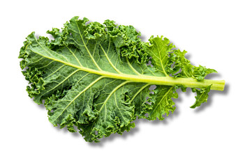 Vibrant Green Curly Kale Leaf Isolated on White Background. Close-up view emphasizing texture,...