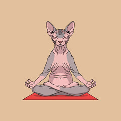 Meditating Hairless Sphynx Cat in Lotus Pose Vector Illustration