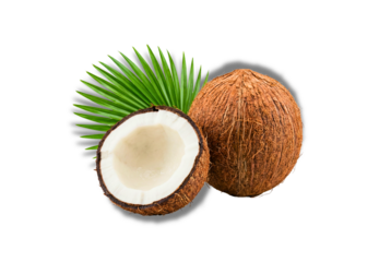 Fresh Tropical Coconuts: Whole Nut and Half Cut Open Revealing White Flesh, with Green Palm Leaf Accent, Isolated on White Background.