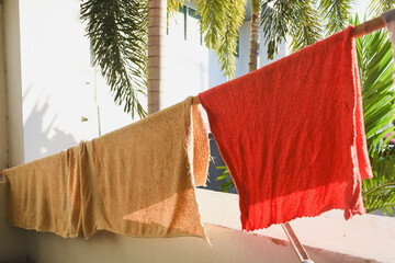 towels hanging on clothesline with palm trees.