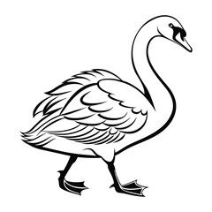 Stylized line drawing of a swan walking with its head turned, isolated on white. Vector