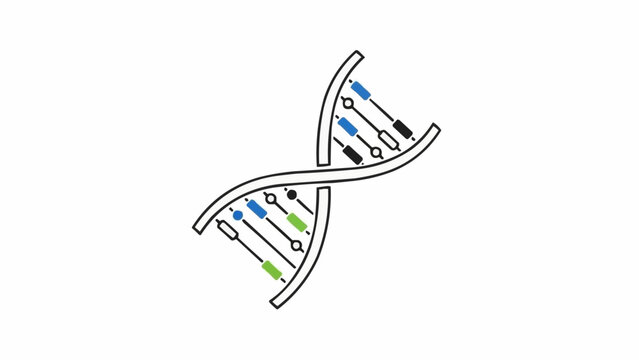 Stylized black outline illustration of a DNA double helix structure with colorful base pairs on a clean white background.