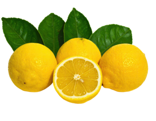 Four bright yellow citrus fruits with vibrant green leaves; one is sliced open