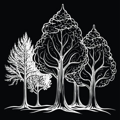 Adobe Illustrator Artwork CAD Drawings. Minimal style cad tree line side view, set of graphics trees elements outline symbol for architecture and landscape design drawing. Vector illustration
