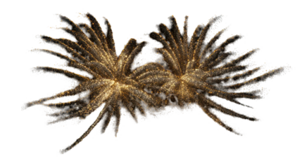 Golden fireworks exploding in the night sky isolated on transparent background