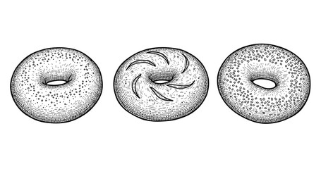 Hand-drawn bagels: classic doughnut-shaped breads with textured detail