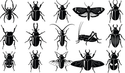 Diverse Set of Insects, Including Stag Beetles, Moths, Spiders, and Grasshoppers Vector Icons for Nature and Entomology.