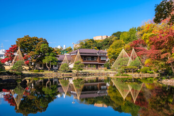 東京都文京区 紅葉の肥後細川庭園