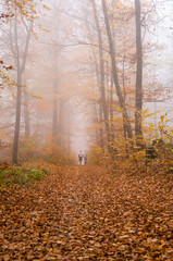 Obraz premium Autumn Fog, Distant Figures