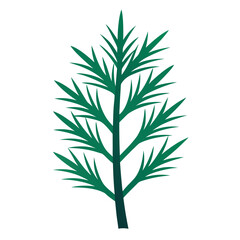 Obraz premium Stylized dill plant illustration on white background for design purposes