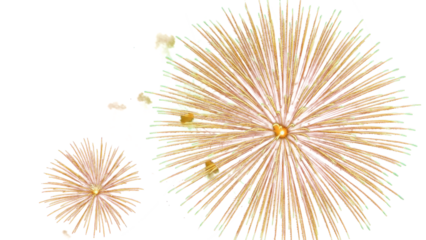 Golden firework texture, thin  stroke lines. Isolated png illustration, transparent background. Design  for overlay, montage, texture. Happy new year concept.