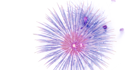Golden firework texture, thin  stroke lines. Isolated png illustration, transparent background. Design  for overlay, montage, texture. Happy new year concept.