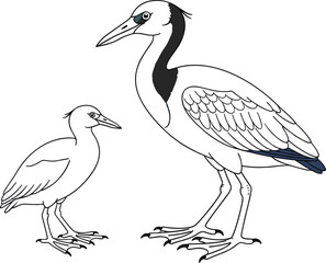 Obraz premium Vector illustration of an adult crane bird standing next to its small baby chick, isolated on a white background for nature design.