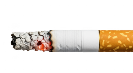 Close up of a lit cigarette burning down with ash forming on the end, isolated on transparent background