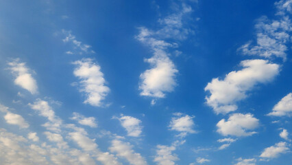 Mid-level cloud formation dominated by Altocumulus (Ac) clouds, composed of water droplets that organize into rounded patches or sheets (Altocumulus Stratiformis) signaling stable weather in Nov