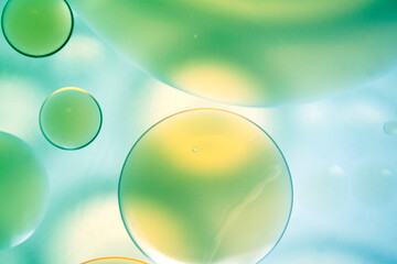 Abstract Colorful Bubbles in Soft Light Background with Green Hues