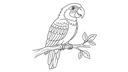 Detailed Parrot on Branch Line Art Drawing for Coloring