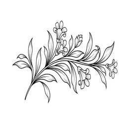 A beautifully intricate black and white line art illustration featuring a graceful floral sprig with delicate flowers and flowing leaves. Ideal for elegant design projects.
