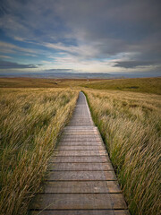 Fototapeta premium Long wooden boardwalk across the moorland on the Cuilcagh Stairway to Heaven trail