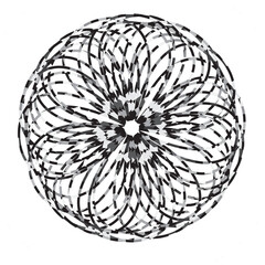 black and white flower circle