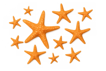 Orange starfish creating a playful pattern, symbolizing marine life, summer vacation, and beach holiday concepts on transparent background