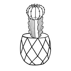 Cactus succulent in ceramic pot in doodle style vector illustration 