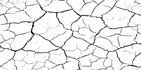 High-contrast cracked dry earth texture with bold black fractures on a white surface. Minimalist abstract background ideal for environmental themes, climate change concepts, and graphic design use.