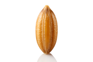 A detailed close-up of a contrasting pair of sunflower seeds, one all white and one black with stripes, photographed in macro and isolated on a white background